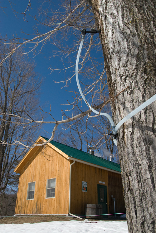 advanced sugaring methods